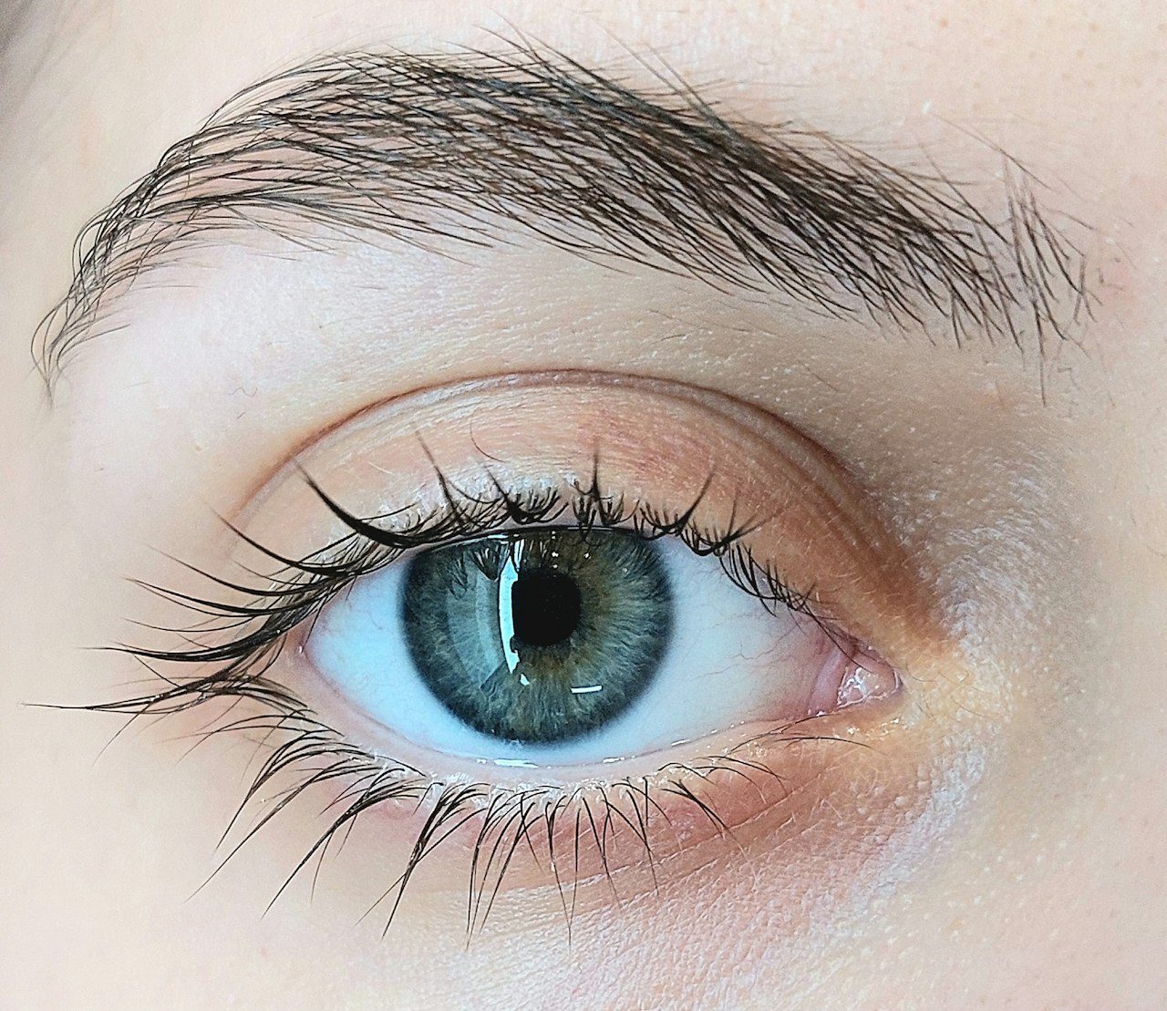 Brow Lamination: Everything You Need to Know